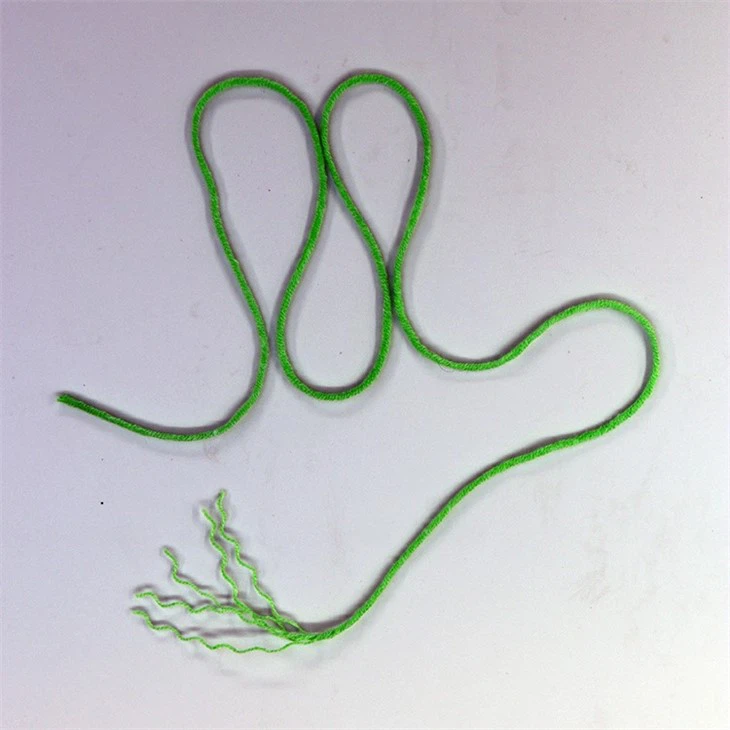 spotlight cotton yarn